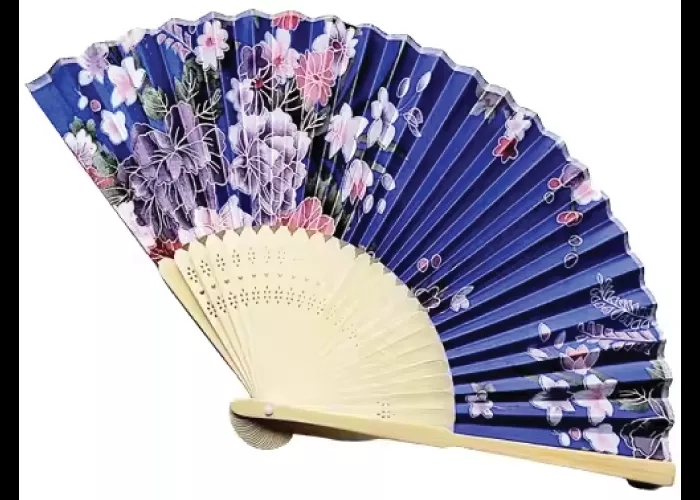 Printed Hand Fan