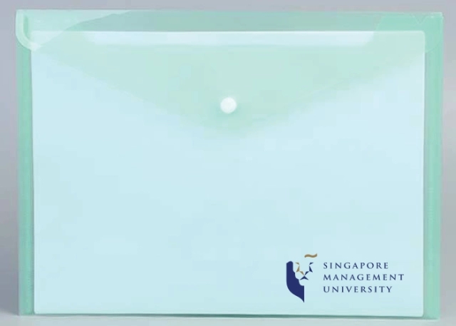 A4 PVC Button FIle